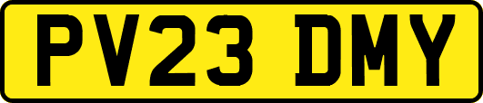 PV23DMY