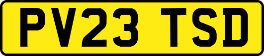 PV23TSD