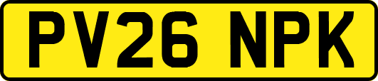 PV26NPK