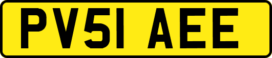 PV51AEE