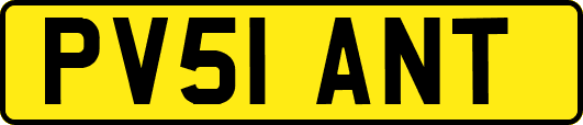 PV51ANT