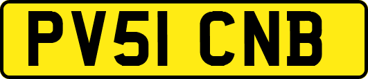 PV51CNB