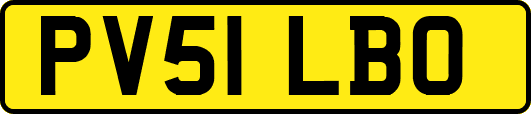 PV51LBO