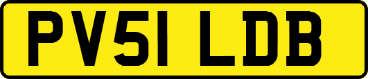 PV51LDB