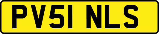 PV51NLS