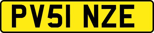 PV51NZE