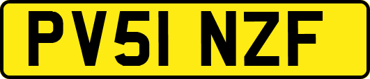 PV51NZF