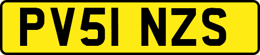 PV51NZS