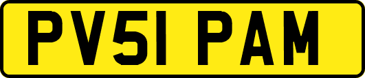 PV51PAM