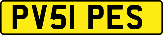 PV51PES
