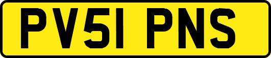 PV51PNS