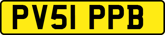 PV51PPB