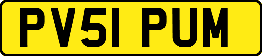 PV51PUM