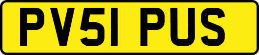 PV51PUS