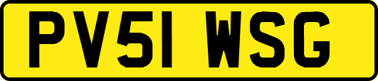 PV51WSG