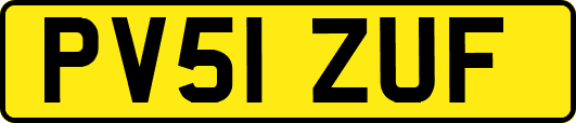 PV51ZUF