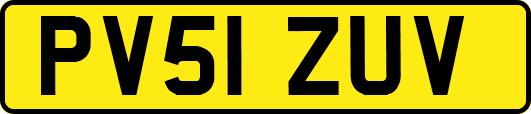 PV51ZUV
