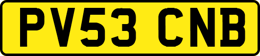 PV53CNB
