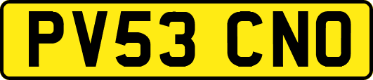 PV53CNO