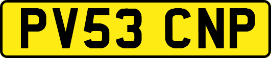 PV53CNP