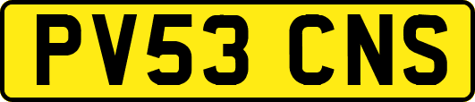 PV53CNS