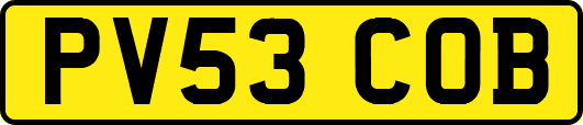 PV53COB