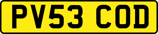 PV53COD