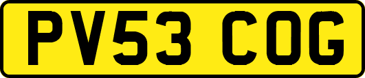 PV53COG
