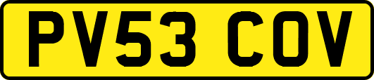 PV53COV