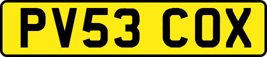 PV53COX