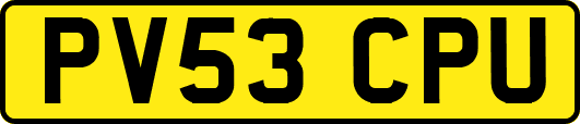 PV53CPU