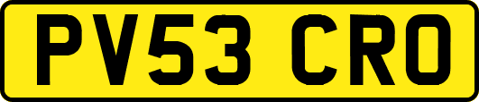 PV53CRO