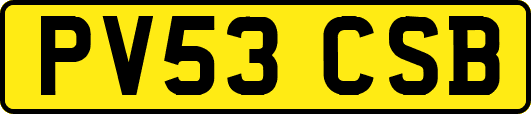PV53CSB