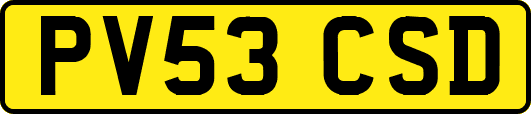 PV53CSD