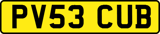 PV53CUB