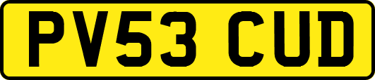PV53CUD