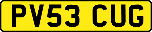 PV53CUG