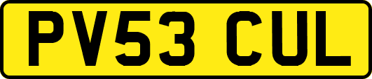PV53CUL