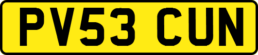PV53CUN