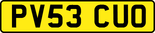 PV53CUO