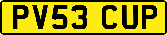 PV53CUP