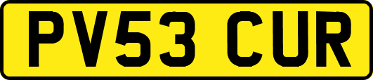 PV53CUR