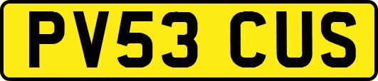 PV53CUS