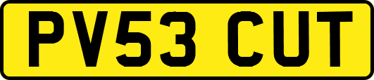 PV53CUT