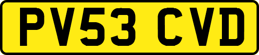 PV53CVD