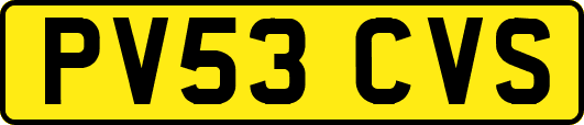 PV53CVS