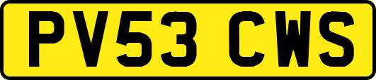 PV53CWS