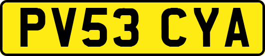 PV53CYA