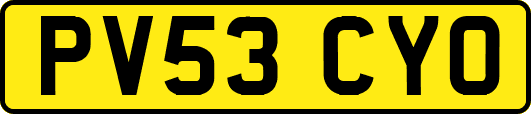 PV53CYO