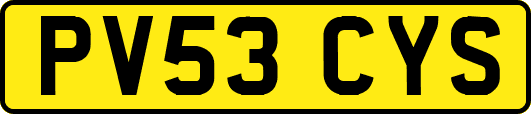 PV53CYS